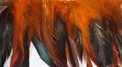 Feathers Orange Coque