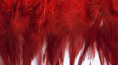 Feathers Red Coque