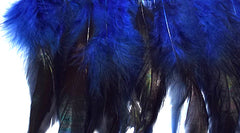 Feathers Royal Blue Coque