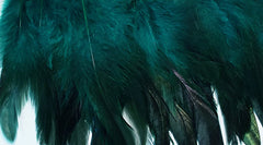 Feathers Teal Jade Coque