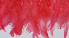 Feathers Watermelon