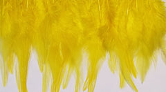 Feathers Yellow Hen