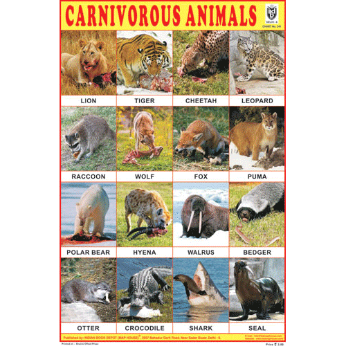 carnivorous animals pictures with names