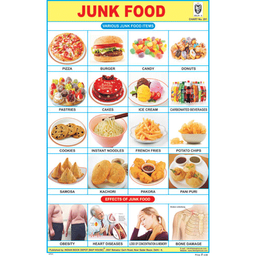 JUNK FOOD CHART SIZE 12X18 (INCHS) 300GSM ARTCARD - Indian Book Depot (Map House)
