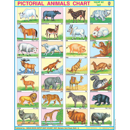 all animal age chart