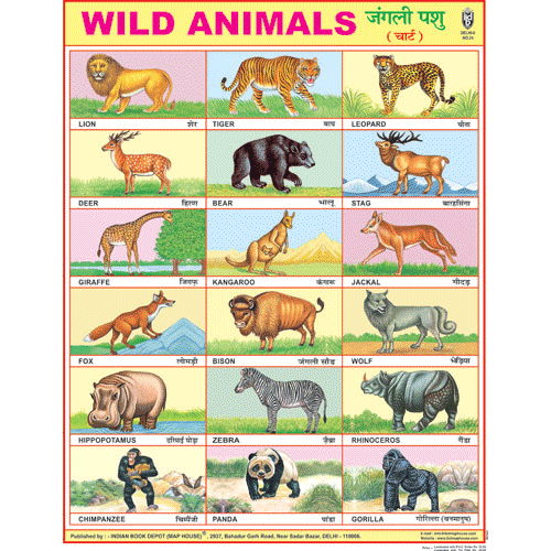 Top 115 + Wild and domestic animals chart - Lifewithvernonhoward.com