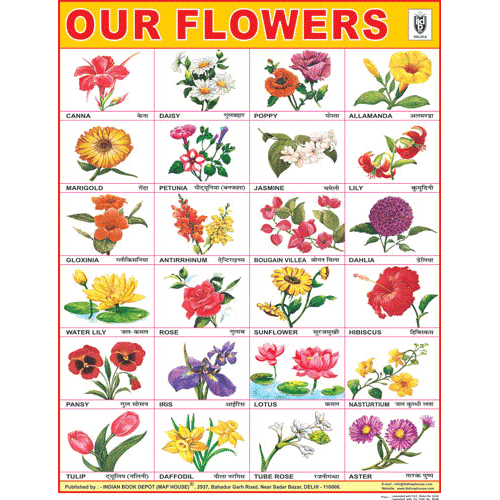 FLOWERS CHART SIZE 45 X 57 CMS