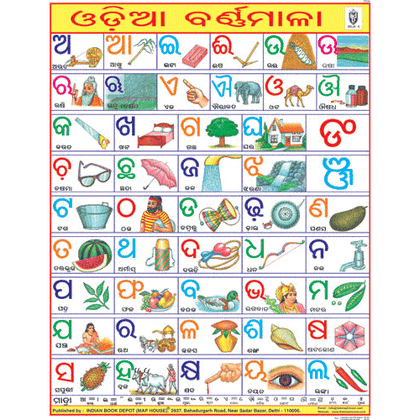 DIGESTIVE SYSTEM CHART SIZE 45 X 57 CMS