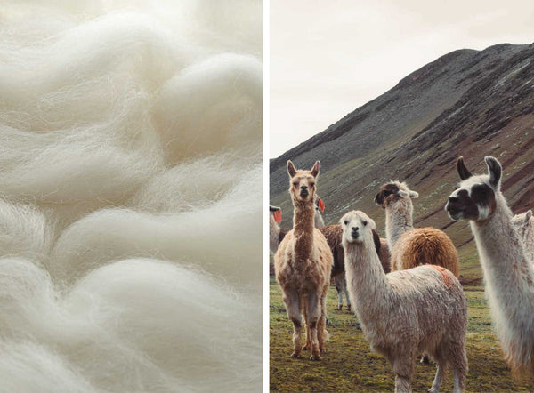 Ethically sourced alpaca wool throw blankets. Luxuriously soft and naturally hypoallergenic handwoven throws.