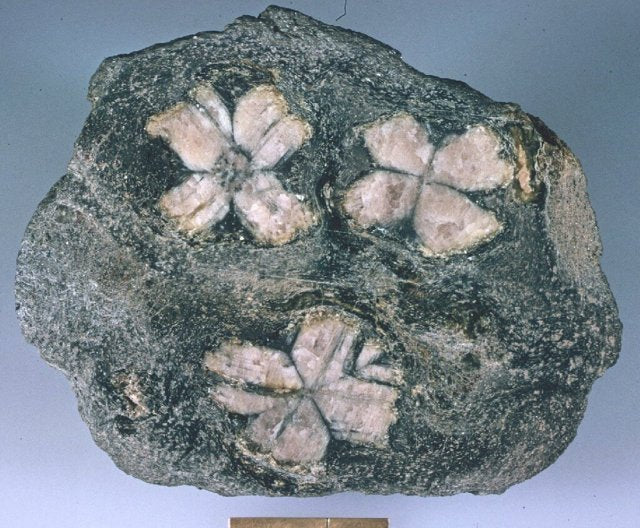 natural andalusite