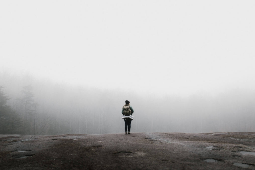 person standing in front of foggy trees