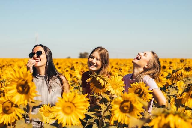 women in sunflower field