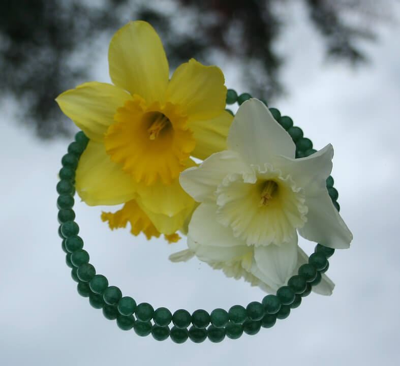 jade necklace and daffodils