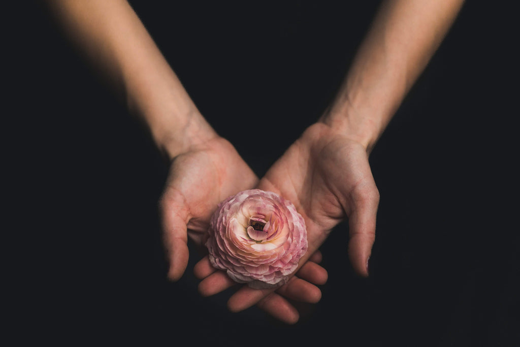 flower in a hands