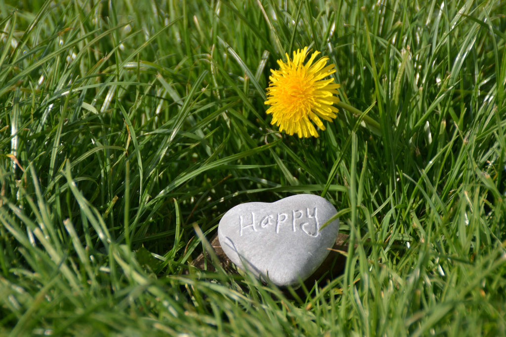 a stone and yellow flower in the grass