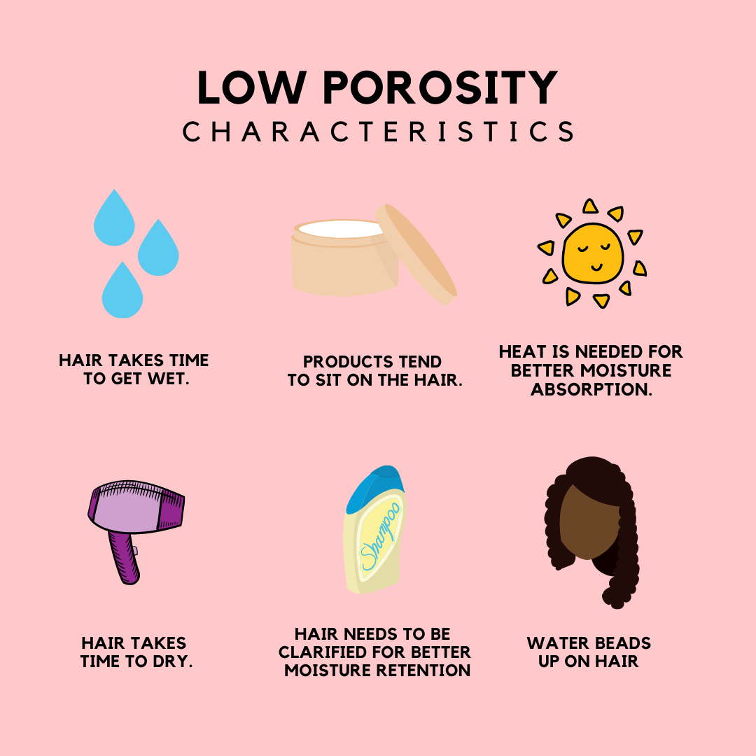 Low vs High Porosity Hair Whats The Difference  PATTERN  Pattern Beauty