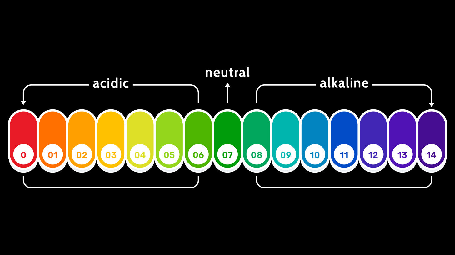 ph balance guide