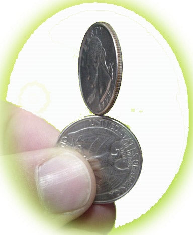 Hopping Halves (Loonie) by Roy Kueppers