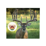 Deer Valley Chews Premium Deer Antler for Dogs - Large 6-7 Inches Long, Single Antler