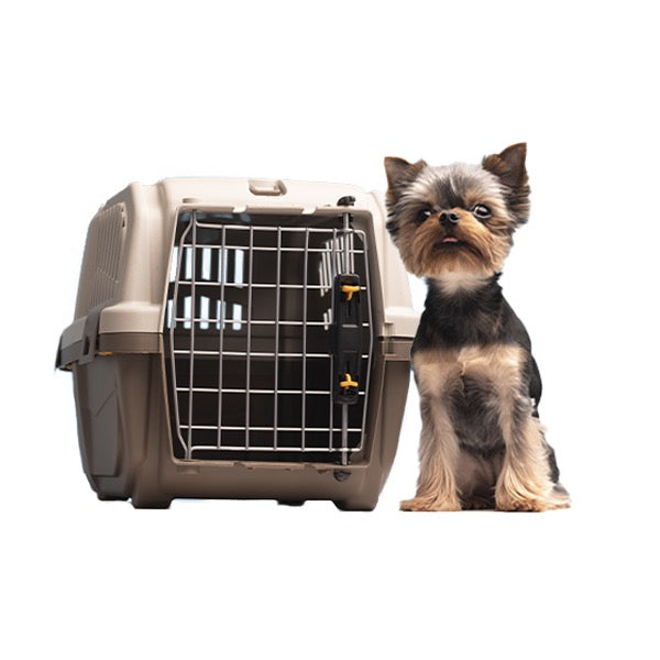 Pet hot sale travel accessories