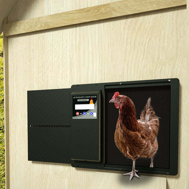 Billede af Automatisk hønslemsåbner med hønselem - Luksusmodel - Metal m. batteripakke, solceller og nem programmering