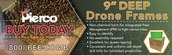 Drone Frames - Varroa Pest Management