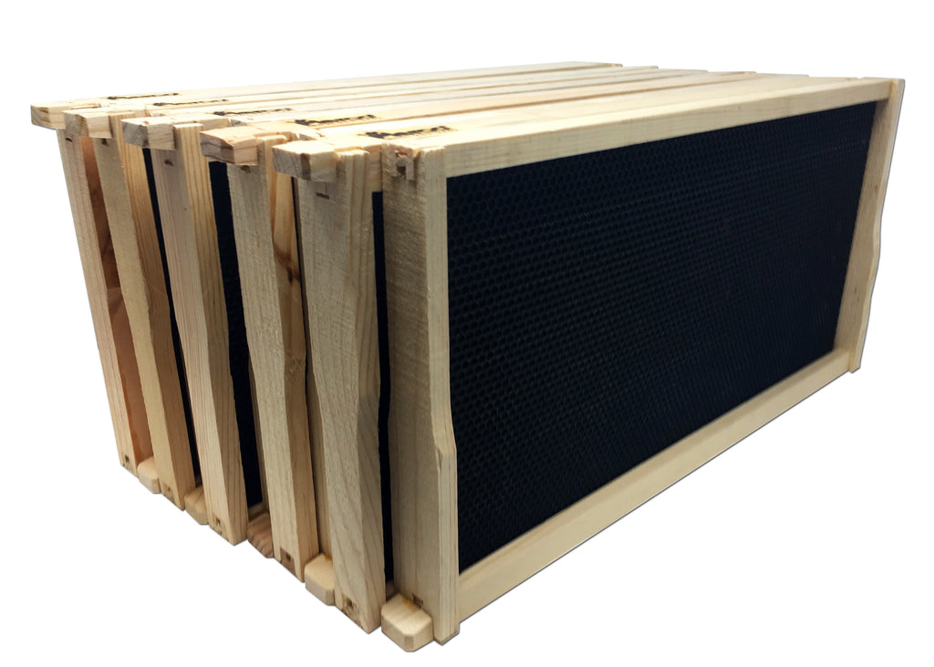 9 1/8" Deep Wood Frame Black Foundation - 10 pack ($4.75 ea.) - DOUBLE WAX