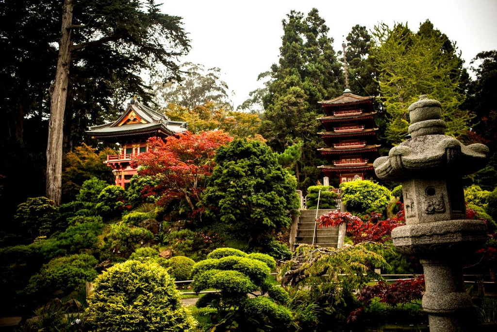 Japanese Tea Garden San Francisco