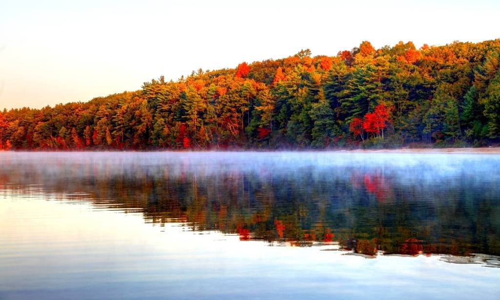 Lac Américain Walden Pond, Massachusetts