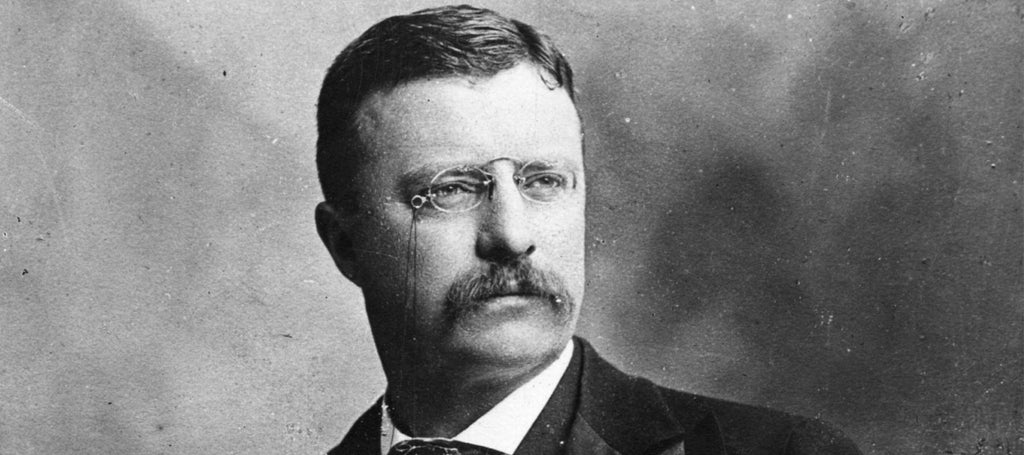 Liste des présidents des États-Unis : Theodore Roosevelt (1901-09)