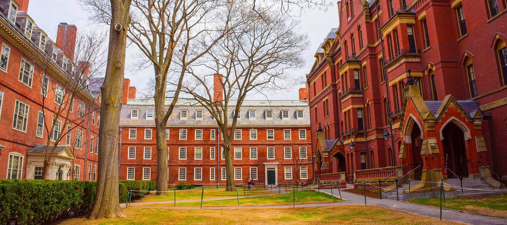 Meilleure université américaine : Harvard