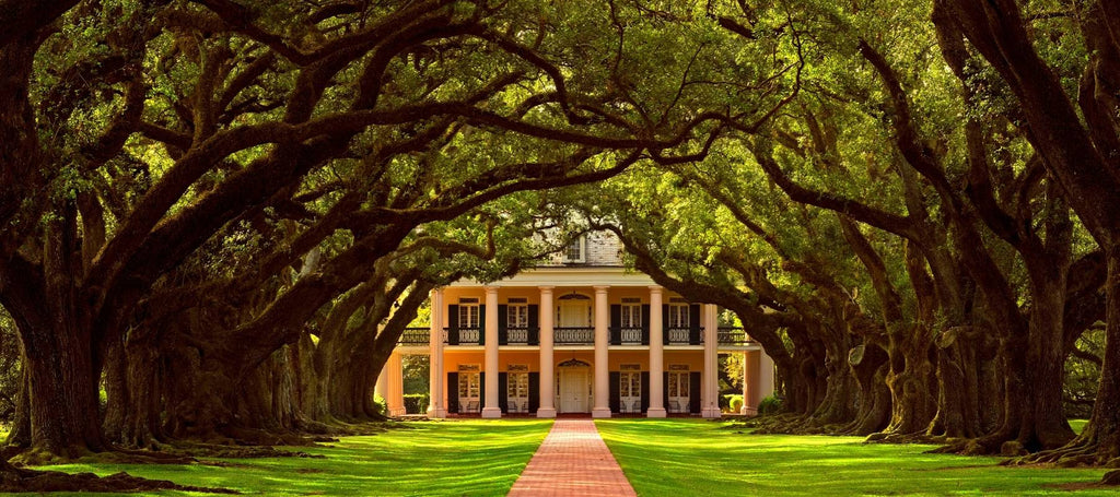 Que Faire En Lousiane : Oak Alley Plantation