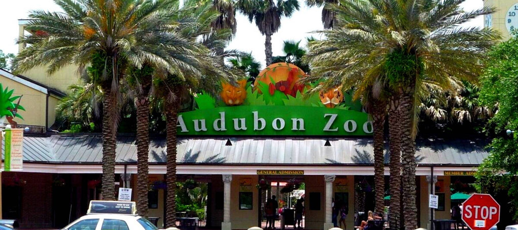 Que Faire En Lousiane : Zoo d'Audubon