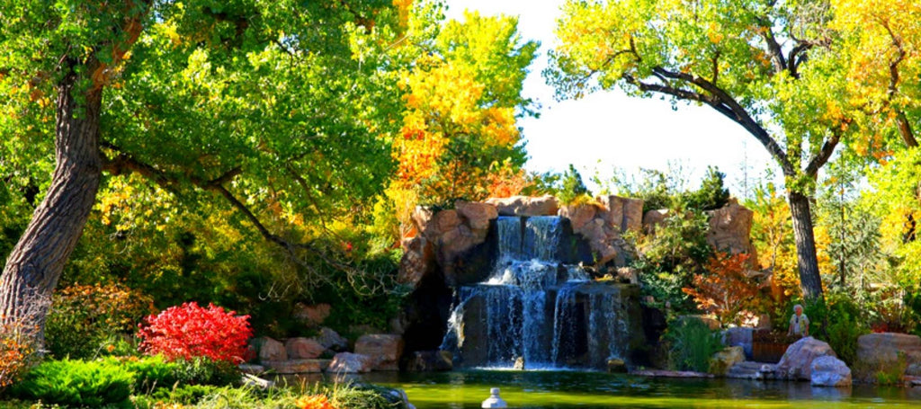 Que faire Au Nouveau-Mexique : ABQ BioPark Botanic Garden
