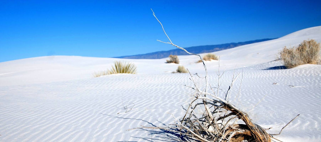 Que faire Au Nouveau-Mexique : Monument national de White Sands
