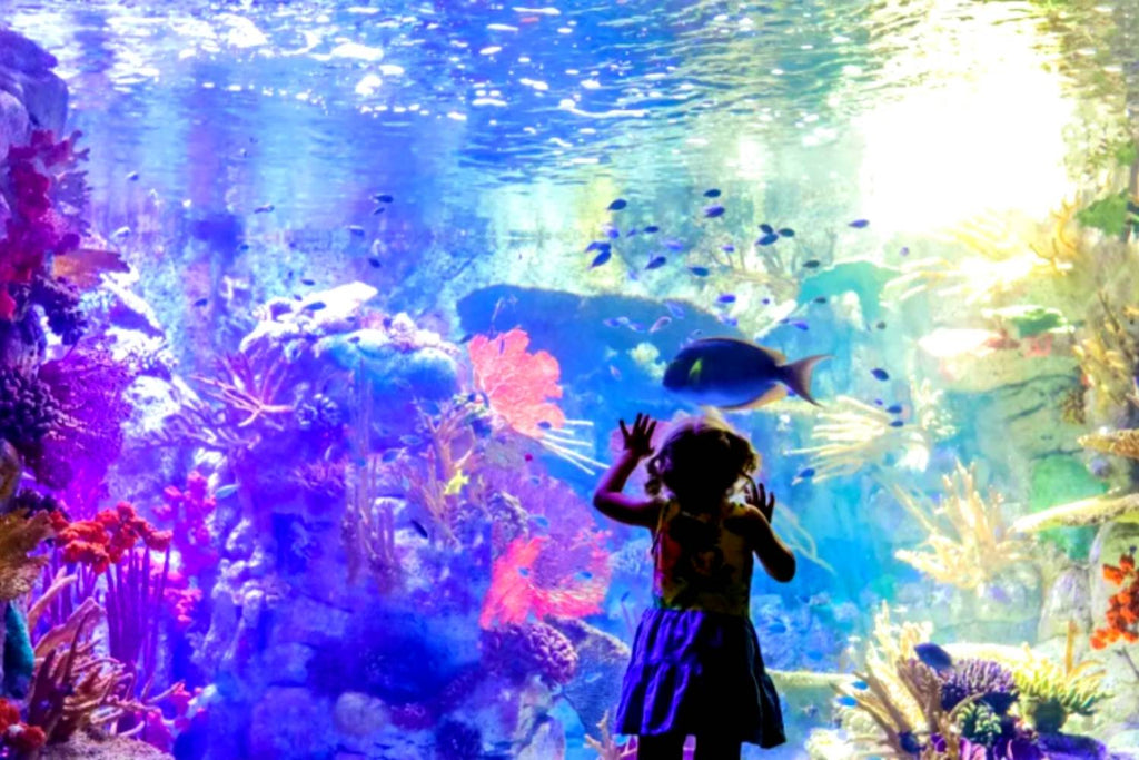San Diego Birch Aquarium