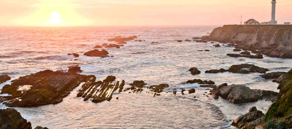 Surfer en Californie du Nord : POINT ARENA (Mendocino)