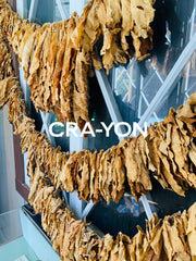 TOBACCO in perfumery | CRA-YON Parfums