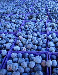 blueberries