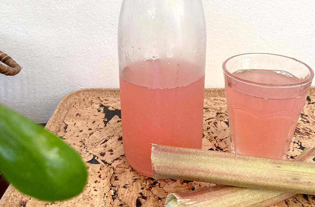 Recette de jus de rhubarbe 1L