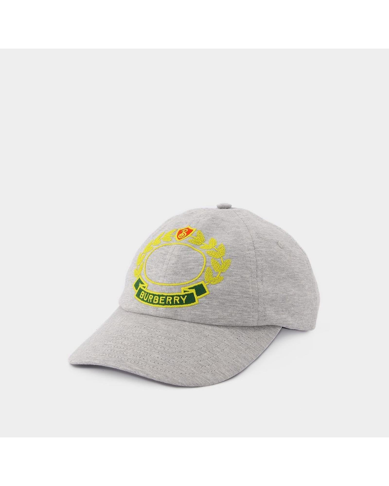 Image of Grey Nylon Baseball Cap