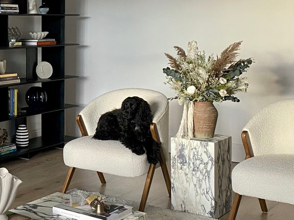 A living room setting with a black dog, dried flower arrangement, and two chairs.