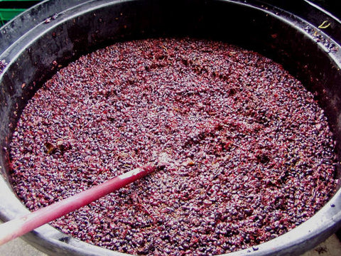 Wine Maceration Rampant Wine Co