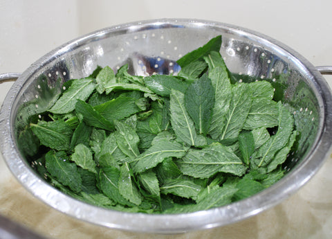 Washed mint leaves drain in a collander 