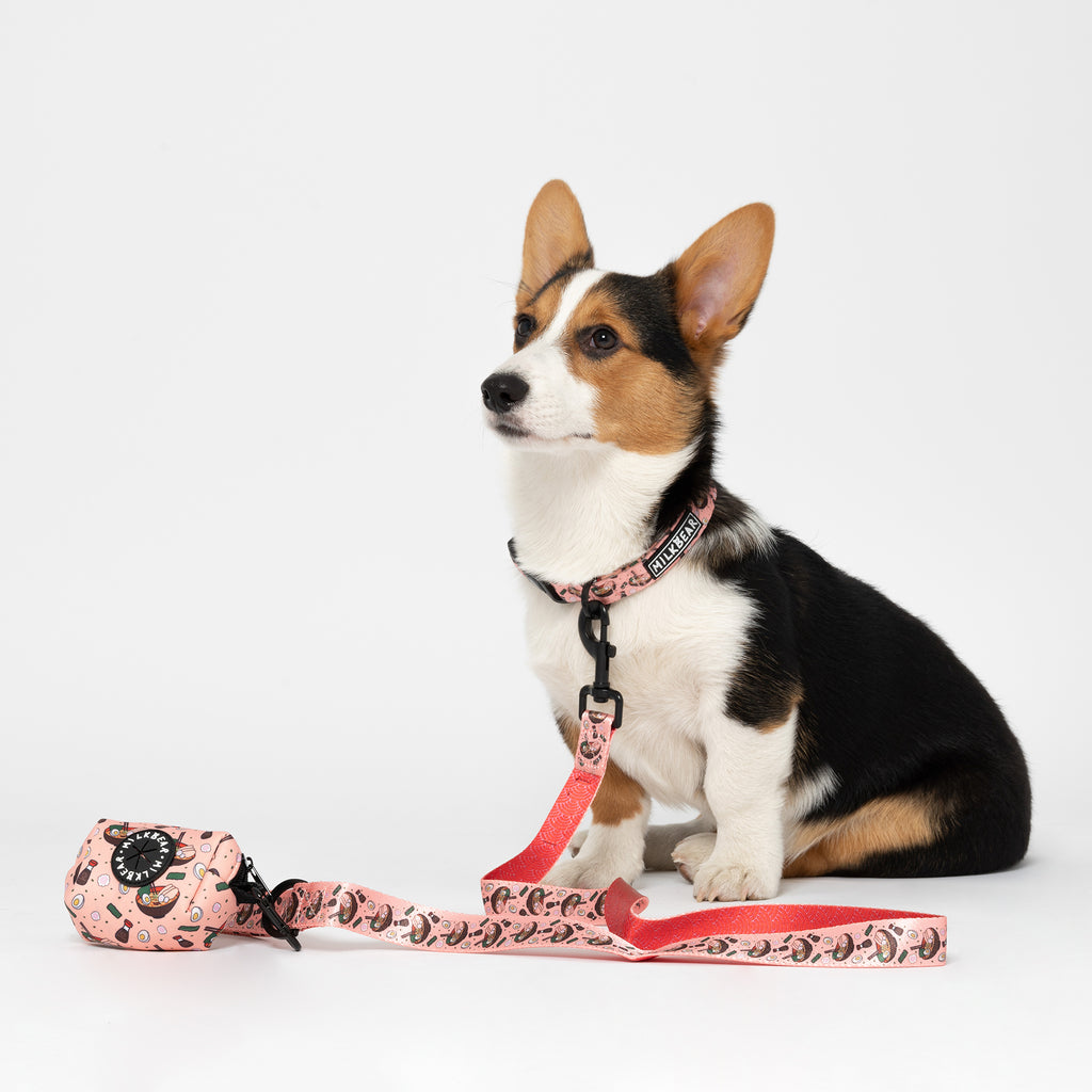 Dog Leash - Moo Moo - Korriko Pet Supply
