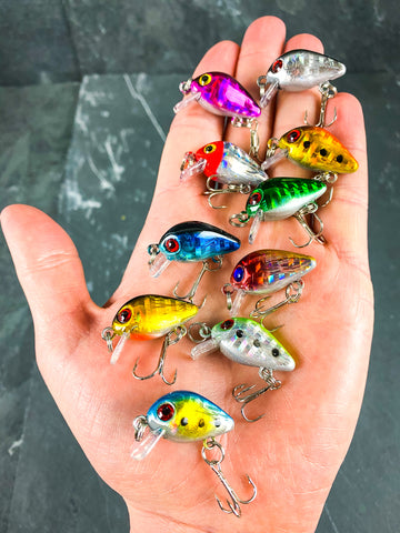 Mini juego de pececillos hundidos con Crankbait duro