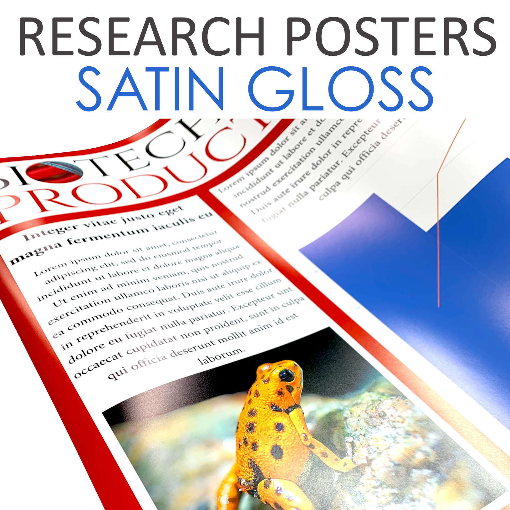 Satin Gloss Posters