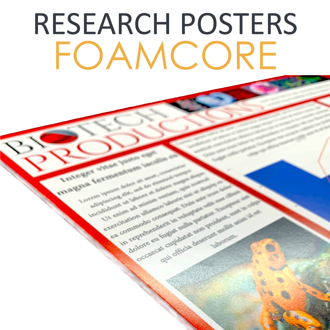 Foamcore Poster