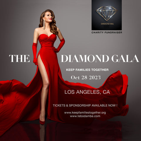 Keep Families Together | The Diamond Gala | Charity Event - Los Angeles