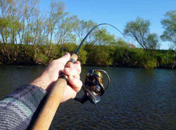 Ultra Light Daiwa Trout Creek/Stream Combo